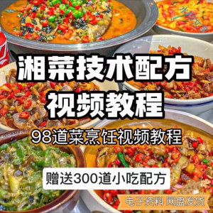 【0.01秒发】98道湘菜技术配方视频教程商用湖南菜炒菜特色小吃-婷好淘宝虚拟货源