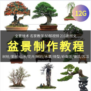 盆景制作技术视频教程工艺教学果树桩山水微型造型全套-婷好淘宝虚拟货源