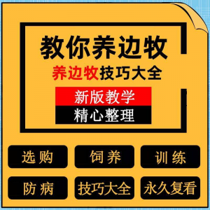 边牧训练方法教程边境牧羊犬驯养技术饲养喂养选购训犬技巧大全套-婷好淘宝虚拟货源