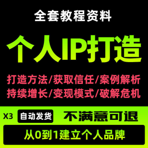 个人IP打造教程如何快速打造个人IP社交品牌定位训练营资料大全新-婷好淘宝虚拟货源