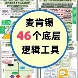 46种麦肯锡思考工具框架底层逻辑137页PPT属于芒格100个思维模型-婷好淘宝虚拟货源