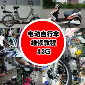 学电动车维修技术电动自行车维修技术电瓶修复技巧视频教程教学-婷好淘宝虚拟货源