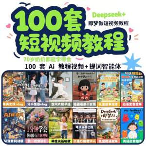 DeepSeek短视频制作教程提示词即梦AI可灵动画剪映豆包动画教程3d-婷好淘宝虚拟货源