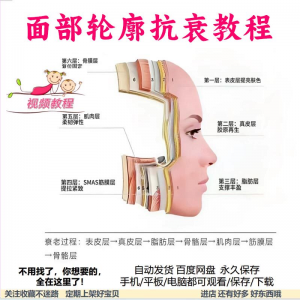 美商课程面部轮廓抗衰美肤减龄变美视频教程形象管理内在美好气色-婷好淘宝虚拟货源