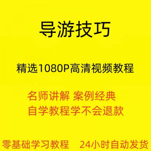 导游技巧视频教程新手自学零基础入门精通教学课程全集-婷好淘宝虚拟货源