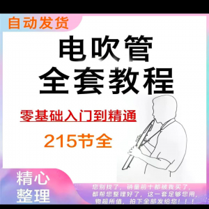 乐器电吹管教程课程实用学习视频初学者入门零基础网盘电子版教程-婷好淘宝虚拟货源