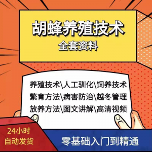 胡蜂养殖技术蜜蜂视频资料黄蜂黑盾怎样养胡蜂人工饲养教程大全-婷好淘宝虚拟货源