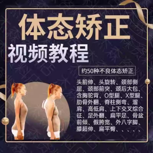体态矫正运动评估视频教学课程健身身材管理纠正锻炼恢复教程-婷好淘宝虚拟货源