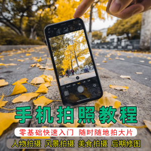 手机摄影教程拍摄拍照课程从入门到精通技巧人像修图剪辑亲子风景-婷好淘宝虚拟货源