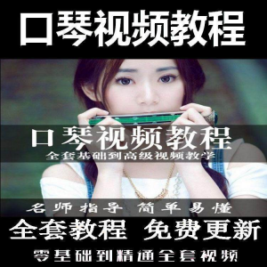 口琴自学教程视频零基础初学者入门到专业十孔24孔教学-婷好淘宝虚拟货源