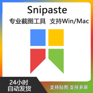Snipaste for Mac 电脑截图贴图工具 支持Windows 苹果系统-婷好淘宝虚拟货源