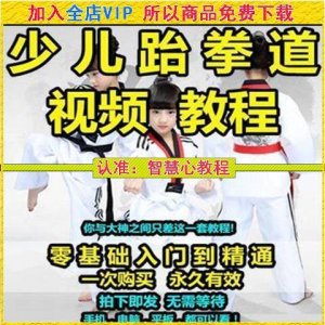 跆拳道自学教学视频跆拳道训练视频跆拳道运动教程少儿培训素材-婷好淘宝虚拟货源