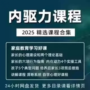 内驱力培训课程培养孩子自觉性提升内在亲子教育学习电子版资料-婷好淘宝虚拟货源