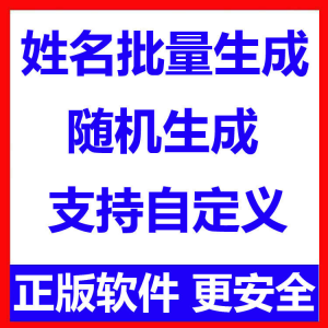 姓名批量生成工具 用户名随机不重复生成软件 可自定义-婷好淘宝虚拟货源