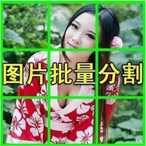图片批量切割软件 图片批量分割工具 批量切图器 图片批量裁剪-婷好淘宝虚拟货源