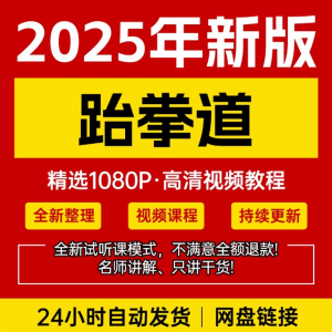2025跆拳道视频教学课程零基础学习入门竞技跆拳道培训技术教程-婷好淘宝虚拟货源