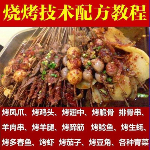 正宗全国烧烤技术配方全套视频教程配料技巧制作培训教学资料大全-婷好淘宝虚拟货源