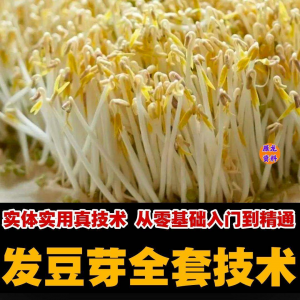 自学发豆芽技术资料豆芽加工制作方法教学 培育豆芽商用视频教程-婷好淘宝虚拟货源