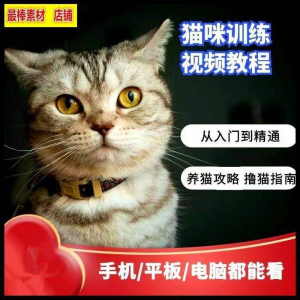 猫咪训练+养猫攻略大全技巧秘诀自学教程课程视频-婷好淘宝虚拟货源