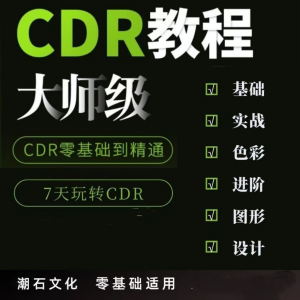 cdr教程视频Coreldraw自学平面设计广告排版零基础入门学习课程-婷好淘宝虚拟货源