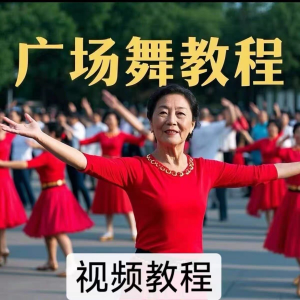 中老年广场舞视频下载高清视频教学打包MP4 MP3背面动作分解教程-婷好淘宝虚拟货源