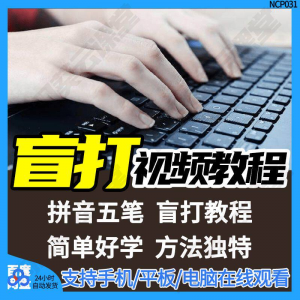 盲打不看键盘打字视频教学网课指法纠正零基础普通键盘私教版资料-婷好淘宝虚拟货源