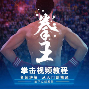拳击教学视频 自学教程 训练零基础运动入门健身搏击格斗武术课程-婷好淘宝虚拟货源