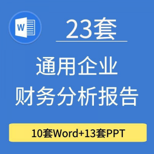 23套通用企业公司年度财务分析报告word电子文档模板PPT演示-婷好淘宝虚拟货源