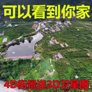 3D高清卫星地图影像2024图源导航定位3d立体地图手机永久免费-婷好淘宝虚拟货源