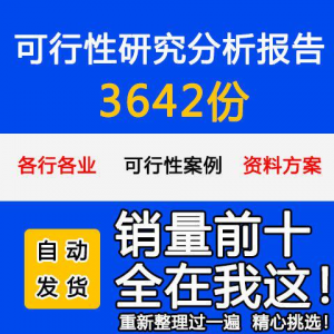 项目可行性研究分析报告案例品牌融资投资研究资料方案大全模板-婷好淘宝虚拟货源