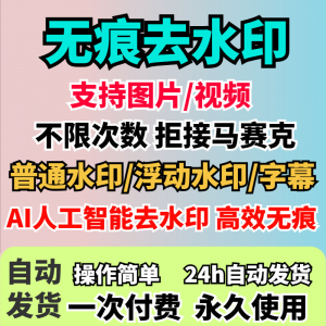 视频去水印软件无痕消除文字AI去除图片字幕水印处理手机电脑神器-婷好淘宝虚拟货源