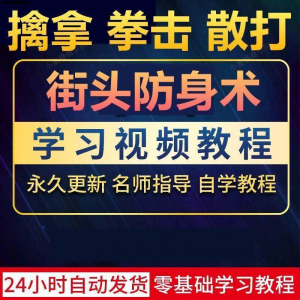 街头防身术擒拿拳击散打视频教程全套入门自学零基础学习教程视频-婷好淘宝虚拟货源