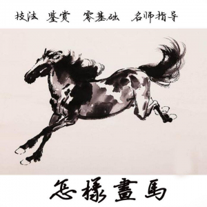 怎么画马视频教程教学自学画马技巧全套零基础入门到提高名水墨画-婷好淘宝虚拟货源