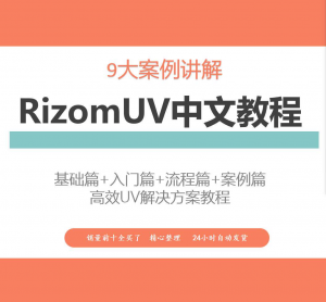 RizomUV中文教程高效UV解决方案视频教学零基础入门自学软件入门-婷好淘宝虚拟货源