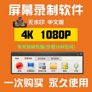 电脑高清1080P录屏录制软件屏幕视频声音录像工具4K无水印mp4格式-婷好淘宝虚拟货源