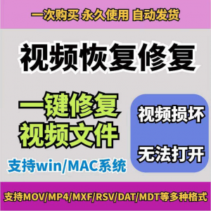 损坏MP4视频修复软件断电恢复工具短片导出摄像机视频文件修复-婷好淘宝虚拟货源