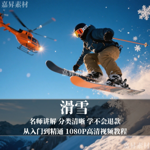 单板双板滑雪教程视频教学成人全套入门自学零基础学习视频教程-婷好淘宝虚拟货源