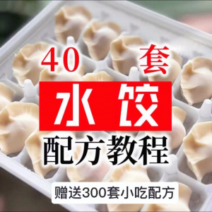 【0.01秒发】40套水饺技术配方 特制技术视频教程-婷好淘宝虚拟货源