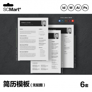 6套高级英文简历Word简历 ai psd设计师简历模板毕业生简历CV29-婷好淘宝虚拟货源