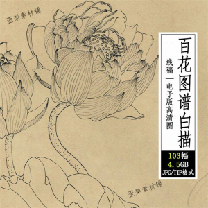 百花图谱白描线稿图集 国画花卉植103幅tif格式3.6G高清图片素材-婷好淘宝虚拟货源
