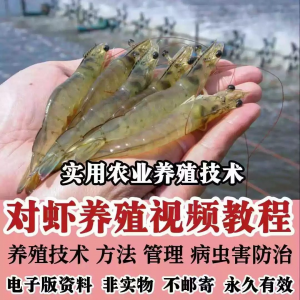 对虾养殖技术视频教学教程水质管理日常养护疾病防治南美白素材-婷好淘宝虚拟货源
