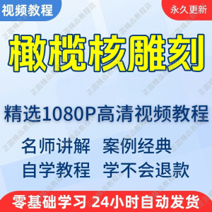 橄榄核雕刻视频学习教程新手自学零基础入门精通教学课程全集-婷好淘宝虚拟货源