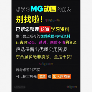 全套AE制作MG动画视频教学课程动效设计零基础自学培训教程资料-婷好淘宝虚拟货源