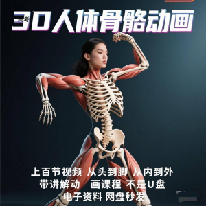 中医人体骨骼肌肉学习3D动态讲解演示视频自学零基础中医人体高考-婷好淘宝虚拟货源