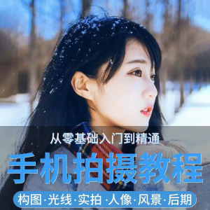 手机摄影教程snapseed人像后期修图拍摄拍照课程从入门到精通-婷好淘宝虚拟货源