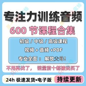 儿童专注力教程听觉注意力训练分阶全套音频视频课程早教电子版-婷好淘宝虚拟货源