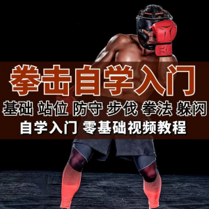 全套拳击指导视频教程自学零基础小白入门自卫搏击格斗防护资料-婷好淘宝虚拟货源