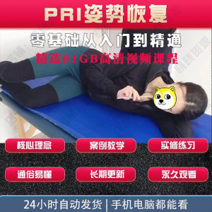 pri姿势恢复技术视频教程呼吸动力技术姿势恢复纠正训练培训课程-婷好淘宝虚拟货源