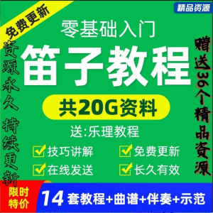 零基础笛子教程自学入门进阶视频初学者教学成人儿童学竹笛教材全-婷好淘宝虚拟货源