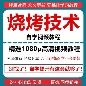 烧烤技术教程视频配方书东北重庆烧烤技术配方教程自学教材零基础-婷好淘宝虚拟货源